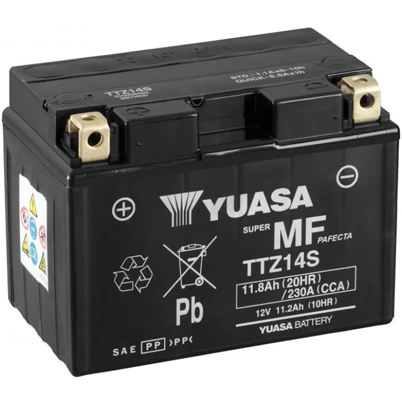 Accu TTZ14S (dry)