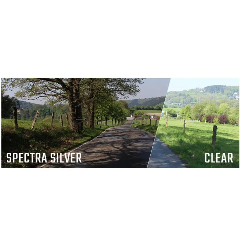 CWR-F2 X-SPR Pro / NXR2 Vizier Mirror