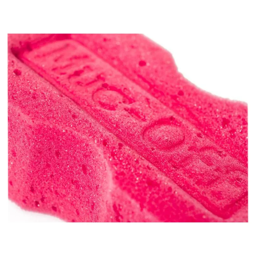 Expanding Sponge