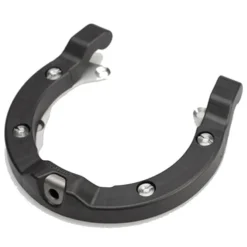 Ion Tankring