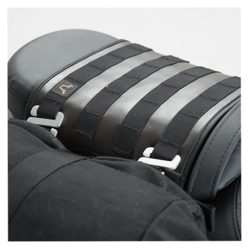 Saddlebag LS1